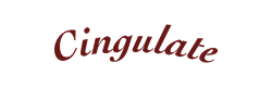 cingulate